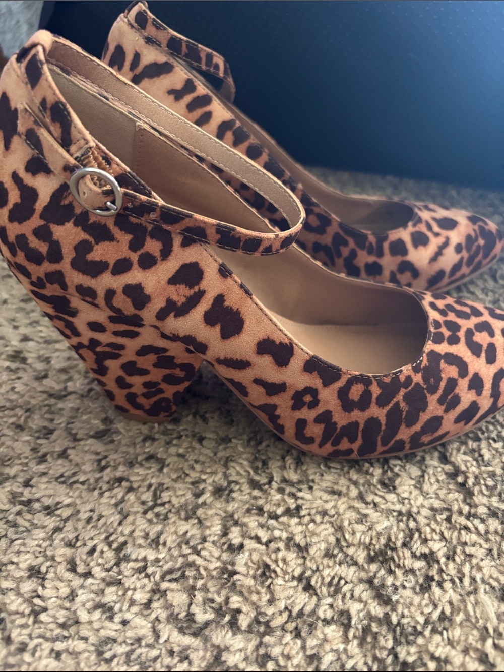 Torrid heels